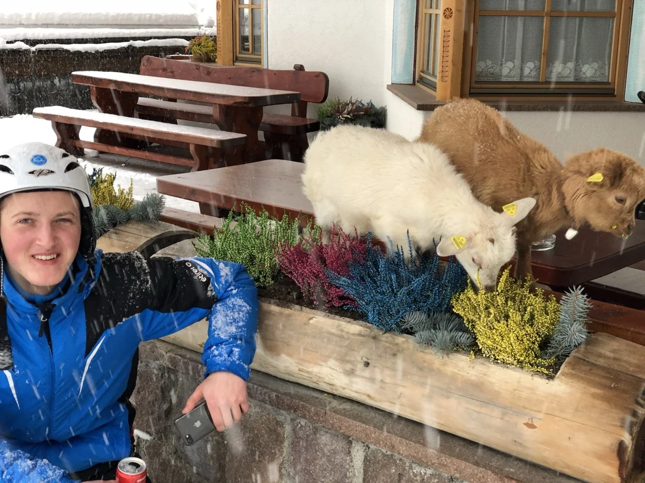 Лыжи